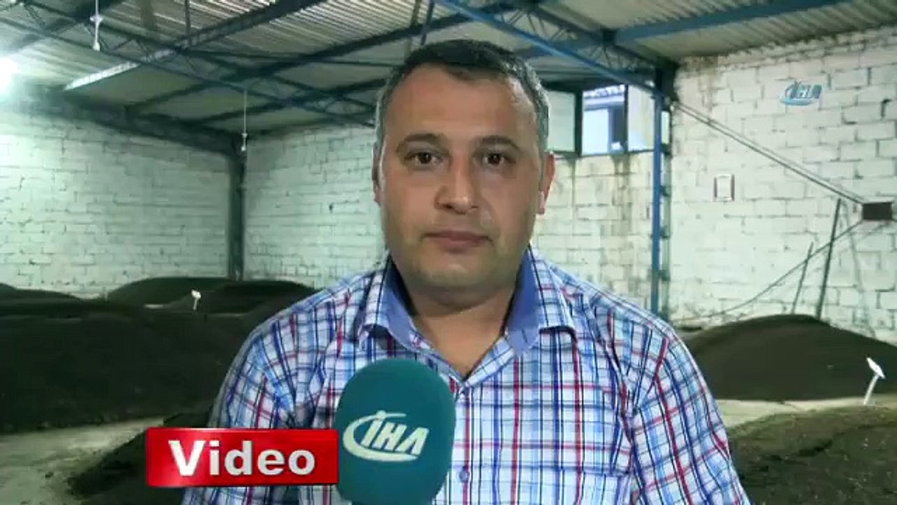 Müdürlüğü bırakıp bu işe girmiş (1+ dakika)