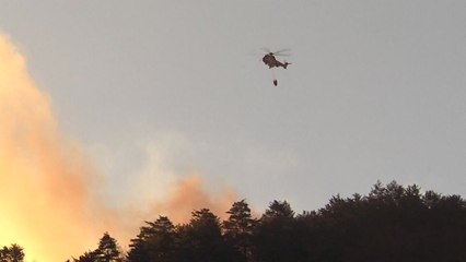삼척 산불 사흘째...진화 작업 재개 / YTN