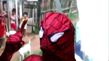 CARNAVAL NO ESPAÇO - QUINTAS COM LUQUITAS #1