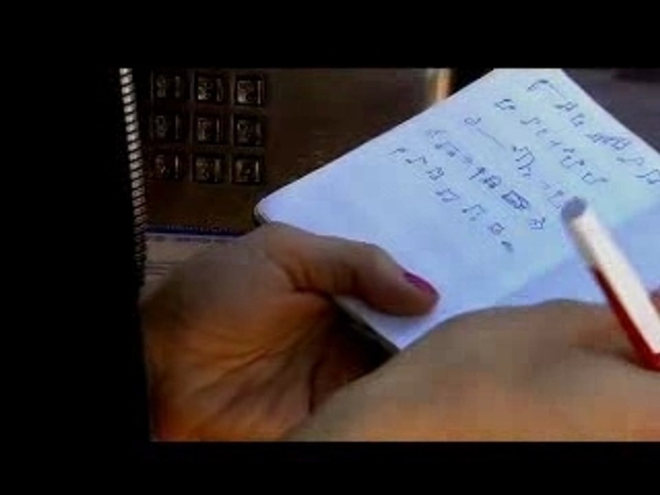 The Ladybug Transistor - Always on the Telephone