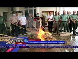 Kulit Harimau Sumatera Hasil Sitaan Dibakar - NET24