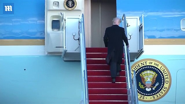 Sự thật bên dưới mái tóc sâu róm của Tổng thống Donald Trump