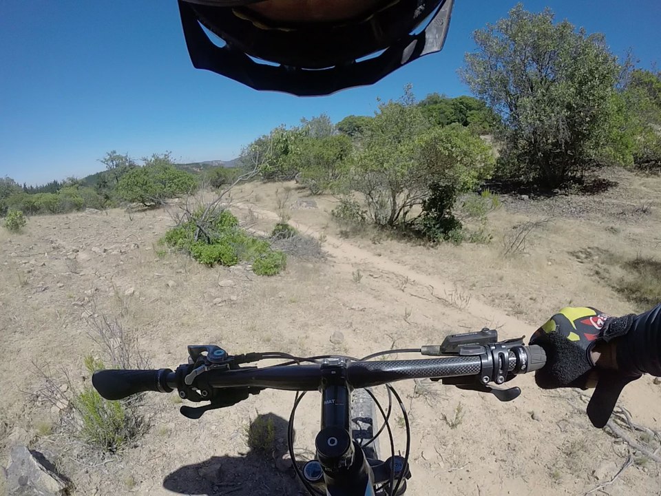 Bajada Cerro Los Robles-Los Tricahues_(Lolol/Feb2018)
