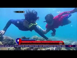 Nikmati Kecantikan Gili Ketapang - NET 12