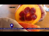 Sukses Budidaya Buah Unik Di Yogyakarta - NET 12