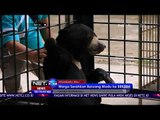 Tidak Sanggup Memberi Makan, Warga Serahkan Beruang Madu Ke BBKSDA - NET 24