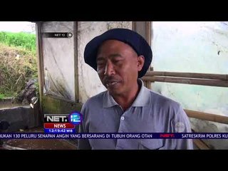 Pasca Longsor Hasil Panen Dikirim Melewati Jonggol