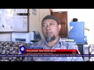 Puluhan Ton Ikan Mati - NET 10