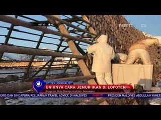 Uniknya Cara Jemur Ikan Di Lofoten - NET 10