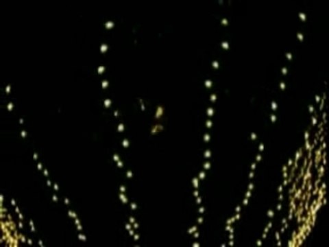 Tamer hosni - 7abibi wenta ba3eed(2)