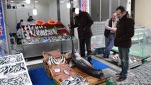 Marmara'da Yaklaşık 2,5 Metrelik Kılıç Balığı Yakalandı - Kırklareli