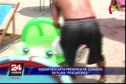 Chorrillos: Digesa descarta presencia de gusanos en playa Pescadores