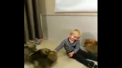 les bébés et les animaux domestiques #1