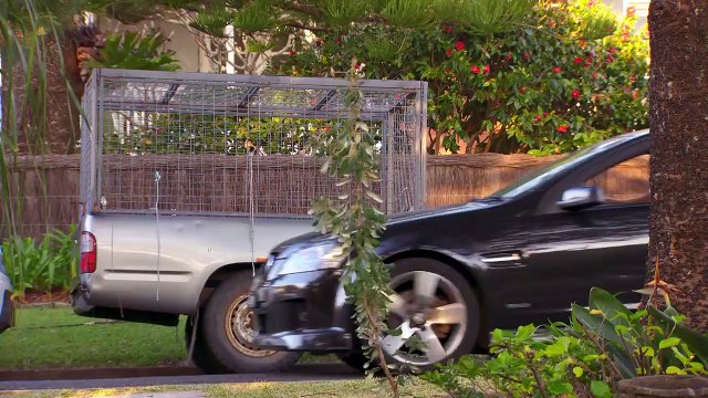 Home and Away Episode 138 - Ash finds Robbo