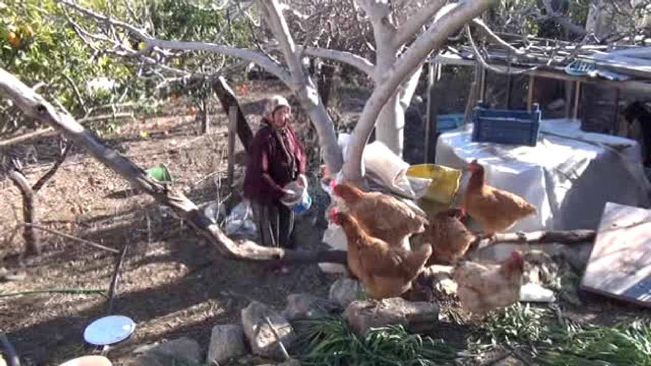 Bu Yumurta Bin Lira