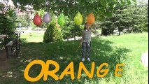 Balonla İngilizce Renkleri Öğreniyorum- Okul Öncesi Eğitim Sayı Sayma
