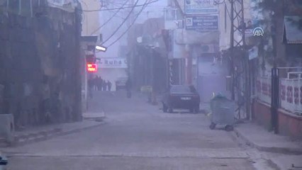 Viranşehir İlçesinde Yoğun Sis Etkili Oluyor