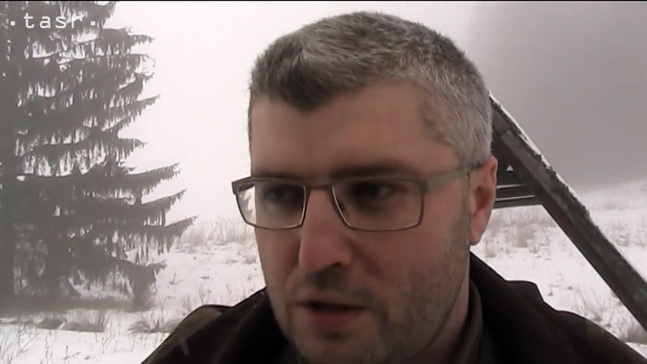 Urbárnici z Bobrovca chcú spracovať zvyšky kalamity Žofia, ťažbe bránia ochranári