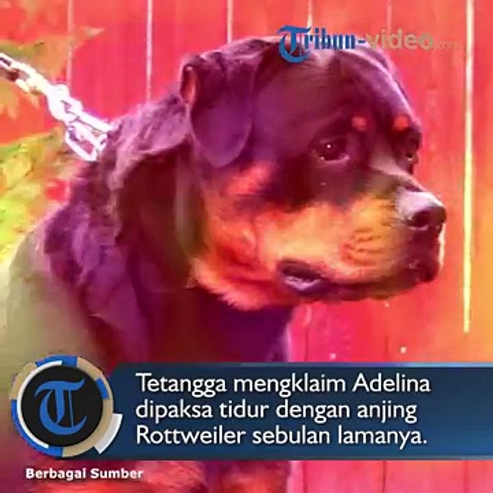 Disiksa_Majikan_Hingga_Disuruh_Tidur_dengan_Anjing__TKI_yang_Bekerja_di_Malaysia_Ini_Berakhir_Tragis