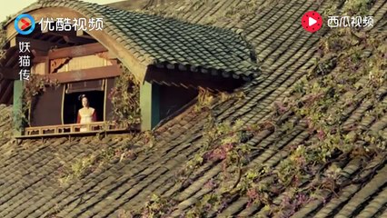 《妖猫传 Legend Of The Demon Cat》吃瓜少妇张雨绮遇到会说话的猫，直接给吓跑了！