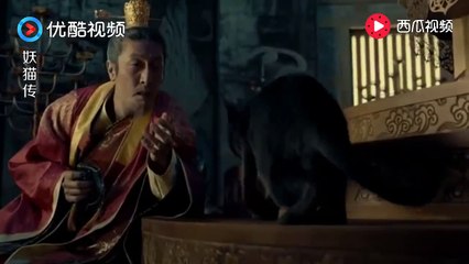 《妖猫传 Legend Of The Demon Cat》妖猫入宫为杨贵妃复仇，居然把李隆基双眼抓瞎了！