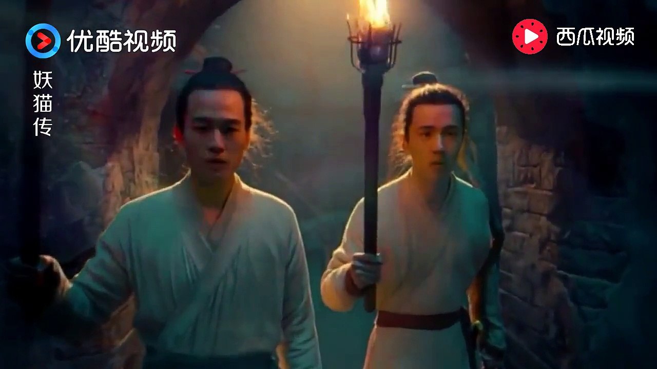 《妖猫传 Legend Of The Demon Cat》原来妖猫是白鹤少年变成的，他一直深爱着杨贵妃！