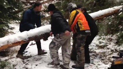 Un arbre bloque une route enneigée