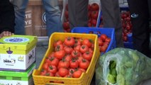 Fethiyeli çiftçiler 'hormon' iddialarına domatesi yıkamadan yiyerek tepki gösterdi