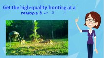 Best Destination for Deer Hunters