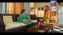 Haya Kay Rang Episode 236 In High Quality on Ary Zindagi 12th February 2018