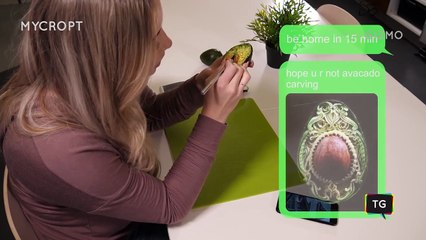 Mycroft Open Source Voice Assistant