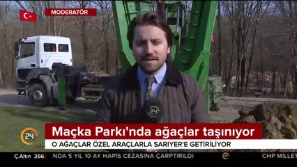Maçka Parkı'nda ağaçlar taşınıyor