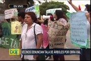 La Molina: vecinos denuncian tala de arboles por ampliación de vía
