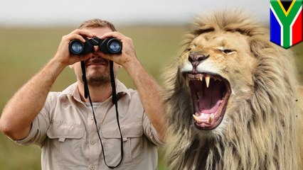 Poacher gets lesson in Darwinism from pride of lions