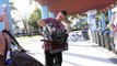 Only in Miami - man rides bike with two lemurs in basket