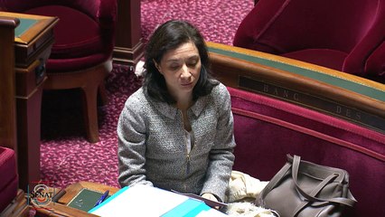 Question Orale - Max Brisson : l'utilisation de l'eusko à Bayonne