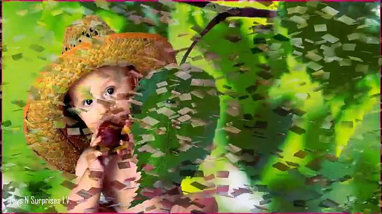 Meu Lanchinho - Música infantil