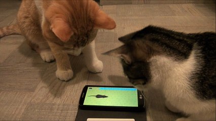 Cats VS (Virtual) Mice! | Cat TV