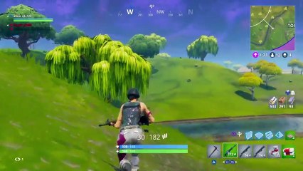 دعس فورتنايت (21)