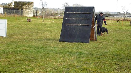 Full Moon du Temple de Kali "Ness" 11Fev18 - palissade