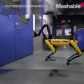 Boston Dynamics robot has nailed a craft that has evaded many of its predecessors – door handles