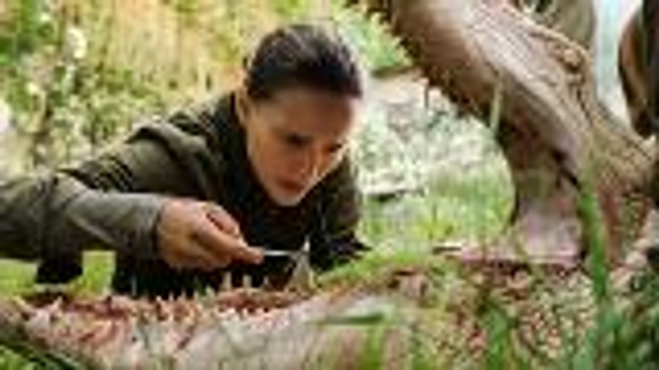 Alex Garland’s 'Annihilation' Facing Criticism Over "White-Washed Casting" | THR News