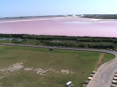Aigues-Mortes (15)