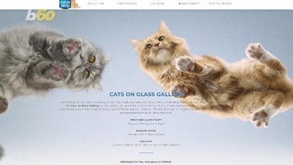 The Hottest Pop-up in NYC Features Cats Walking on a Glass Runway