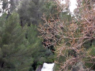 Barrage du Revest (1)