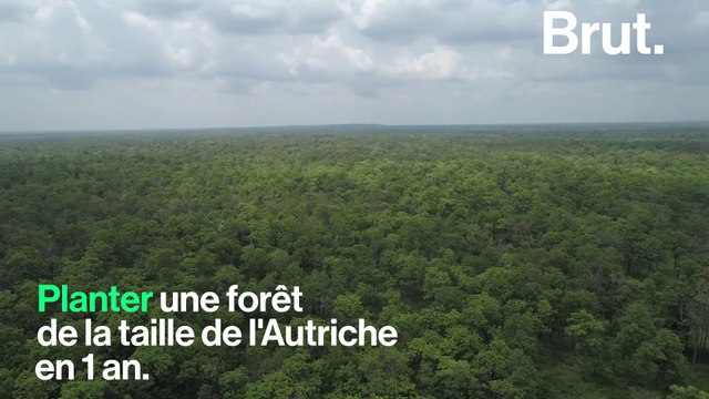 Un projet colossal de reboisement en Chine