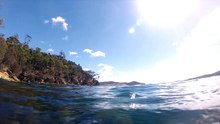 Snorkel 12022018
