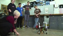 Students Design, Build Device to Help Injured Rooster Walk