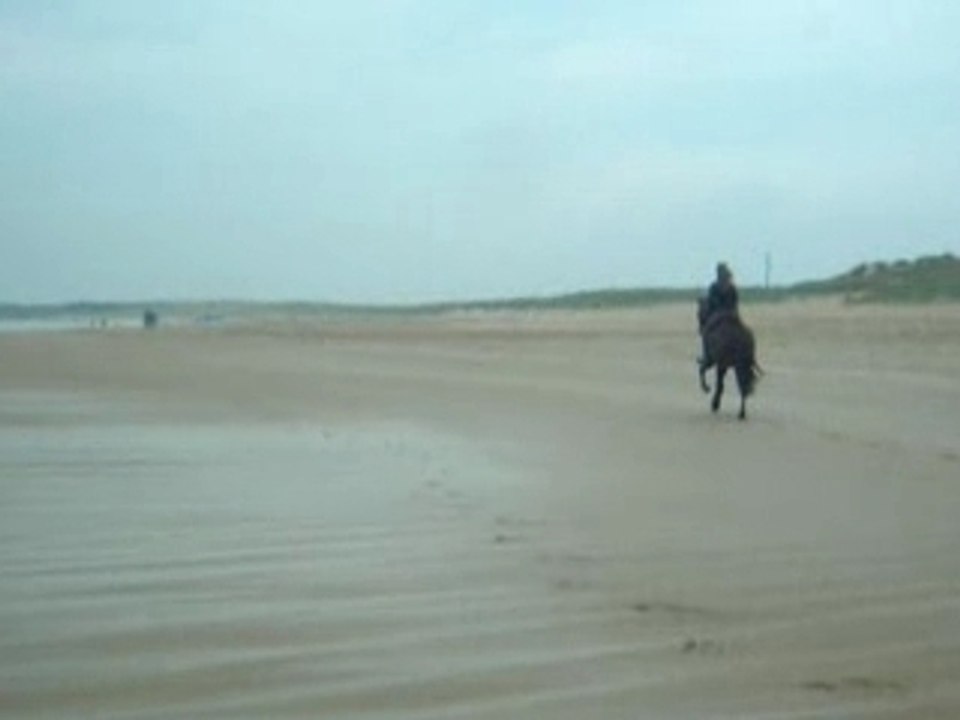 Galop sur la plage