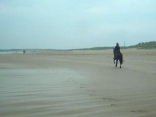 Galop sur la plage